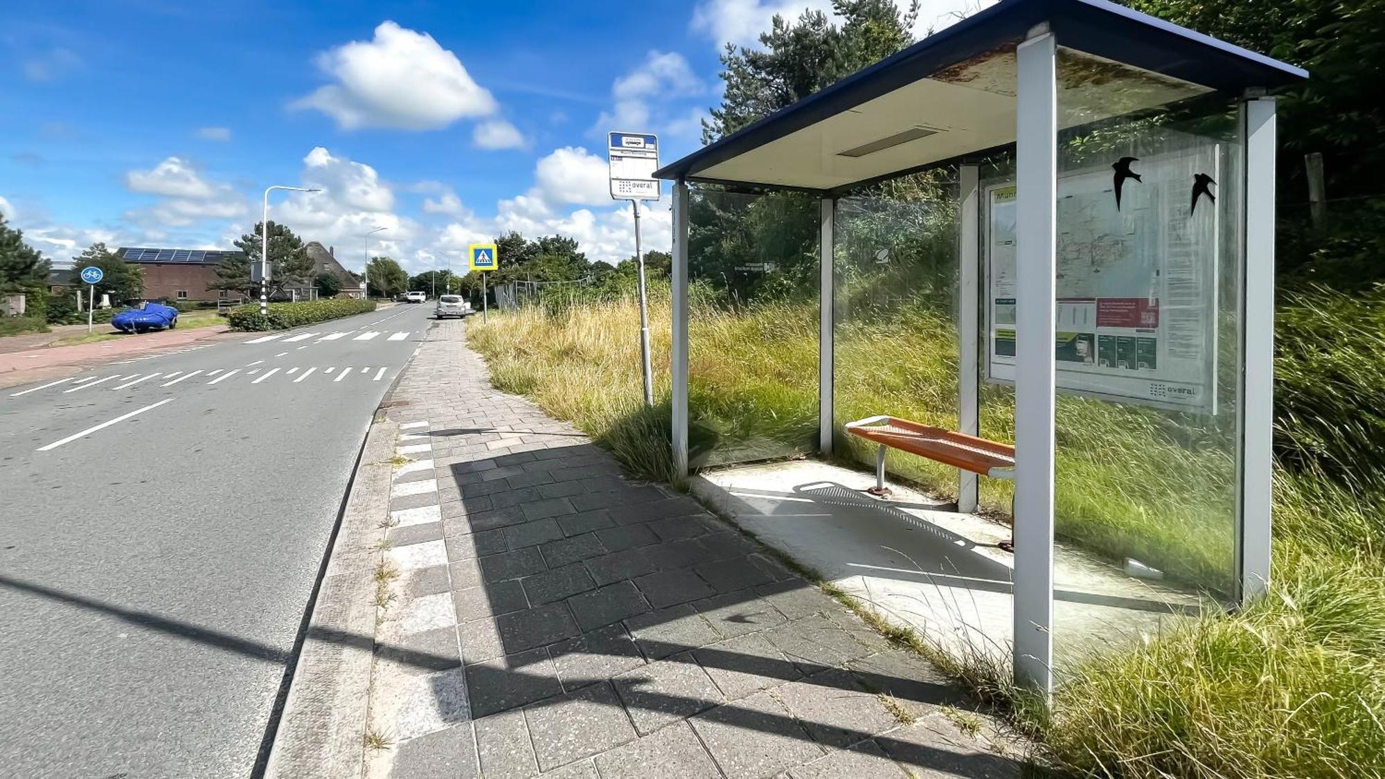 Duinzicht By Droomvilla Schoorl Eksteriør bilde